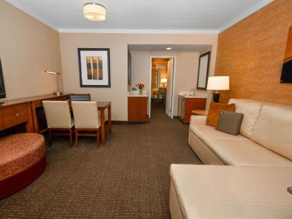 Embassy Suites by Hilton Austin Downtown South Congress : photo 3 de la chambre suite lit king-size avec vue sur la ville - non-fumeurs