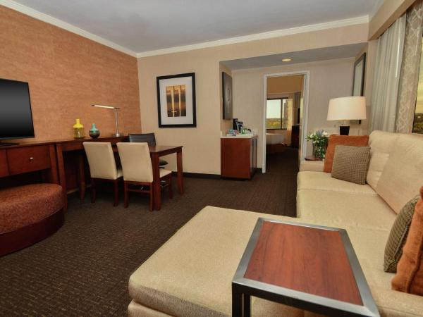 Embassy Suites by Hilton Austin Downtown South Congress : photo 3 de la chambre suite lit king-size premium - vue sur ville - non-fumeurs