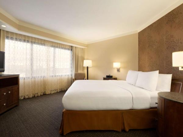Embassy Suites by Hilton Austin Downtown South Congress : photo 4 de la chambre suite 1 chambre lit king-size - adaptée aux personnes malentendantes - non-fumeurs