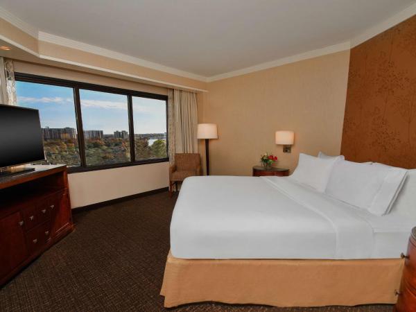 Embassy Suites by Hilton Austin Downtown South Congress : photo 5 de la chambre suite lit king-size avec vue sur la ville - non-fumeurs