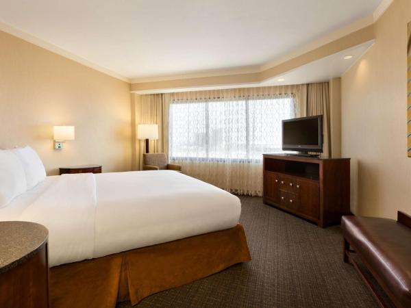 Embassy Suites by Hilton Austin Downtown South Congress : photo 4 de la chambre suite 2 chambres - non-fumeurs