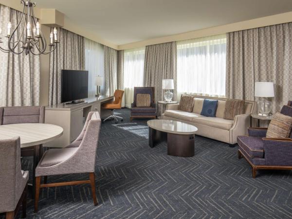 DoubleTree by Hilton Hotel Nashville Downtown : photo 3 de la chambre suite king 2 pièces avec canapé-lit