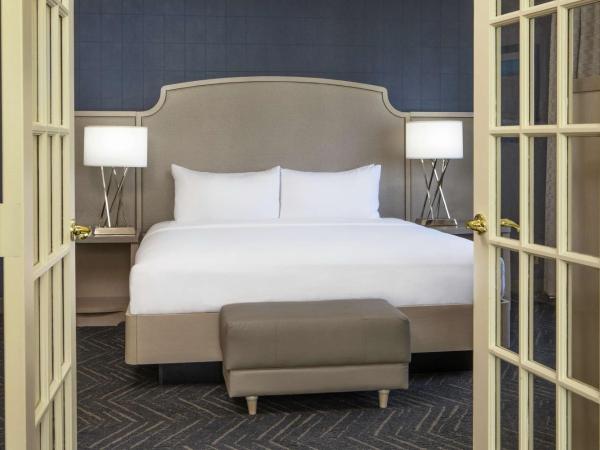 DoubleTree by Hilton Hotel Nashville Downtown : photo 4 de la chambre suite king 2 pièces avec canapé-lit