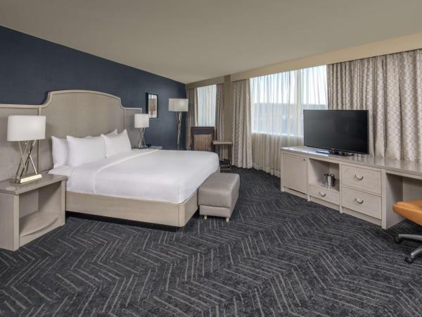 DoubleTree by Hilton Hotel Nashville Downtown : photo 4 de la chambre suite junior lit king-size avec canapé-lit
