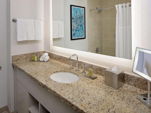 DoubleTree by Hilton Chicago Magnificent Mile : photo 6 de la chambre chambre avec 2 lits queen-size - vue sur ville - non-fumeurs