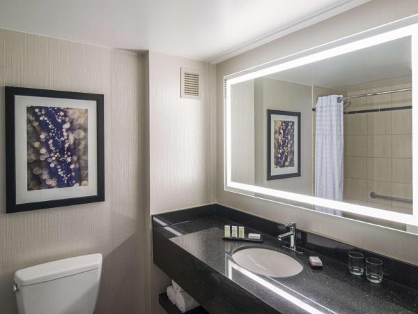 Embassy Suites by Hilton Chicago Downtown Magnificent Mile : photo 7 de la chambre suite 2 pièces avec lit king-size - non-fumeurs
