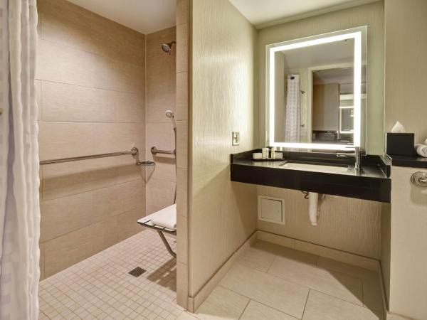 Embassy Suites by Hilton Chicago Downtown Magnificent Mile : photo 7 de la chambre one-bedroom king suite with roll-in shower - mobility access/non-smoking