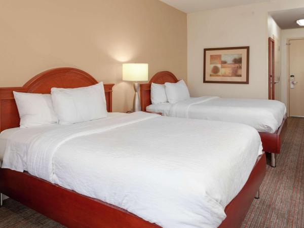 Hilton Garden Inn Charlotte North : photo 1 de la chambre chambre double avec 2 lits doubles - non-fumeurs