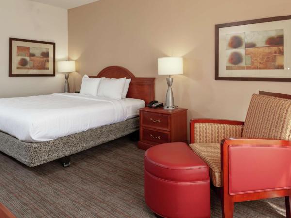 Hilton Garden Inn Charlotte North : photo 3 de la chambre chambre lit king-size avec douche accessible en fauteuil roulant - adaptée aux personnes à mobilité réduite