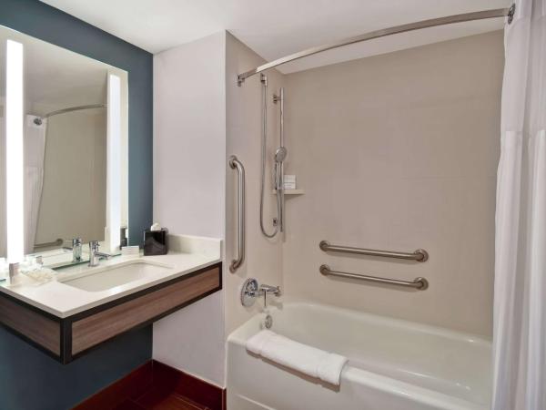 Hilton Garden Inn Houston/Galleria Area : photo 5 de la chambre chambre lit king-size avec baignoire - accessible aux personnes à mobilité réduite