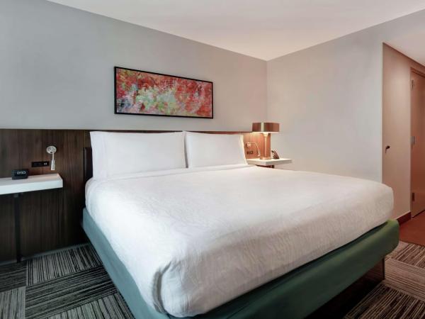 Hilton Garden Inn Houston/Galleria Area : photo 1 de la chambre suite 1 chambre lit king-size