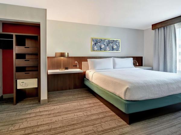 Hilton Garden Inn Houston/Galleria Area : photo 2 de la chambre chambre lit king-size avec baignoire - accessible aux personnes à mobilité réduite