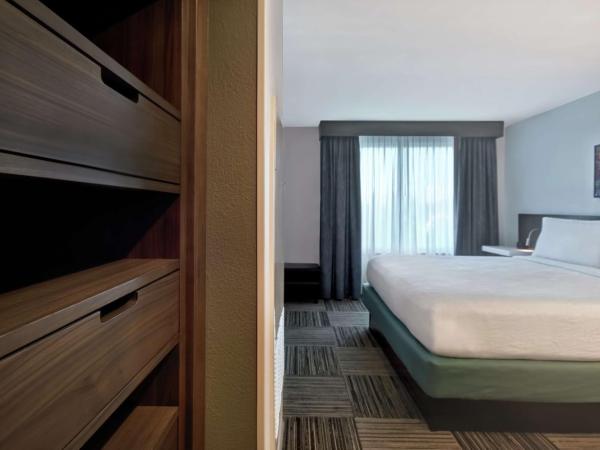 Hilton Garden Inn Houston/Galleria Area : photo 2 de la chambre suite 1 chambre lit king-size