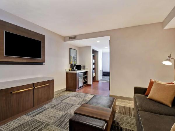 Hilton Garden Inn Houston/Galleria Area : photo 3 de la chambre suite 1 chambre lit king-size