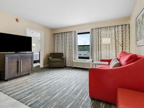 Hampton Inn & Suites Memphis-Wolfchase Galleria : photo 2 de la chambre suite lit king-size – non-fumeurs