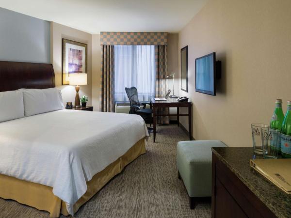 Hilton Garden Inn New York/Tribeca : photo 1 de la chambre chambre lit king-size