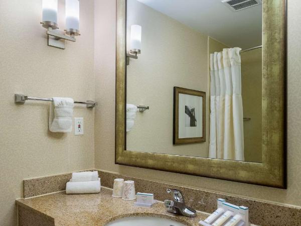 Hilton Garden Inn New York/Tribeca : photo 1 de la chambre chambre lit king-size premium