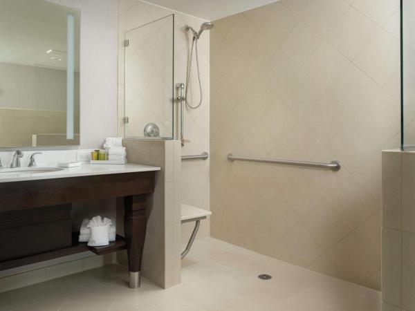 Signia by Hilton Orlando Bonnet Creek : photo 7 de la chambre suite lit king-size junior - accessible aux personnes à mobilité réduite/douche accessible en fauteuil roulant
