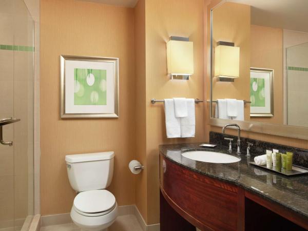 Hilton Orlando : photo 5 de la chambre chambre lit king-size - Étage Élevé - vue sur ville