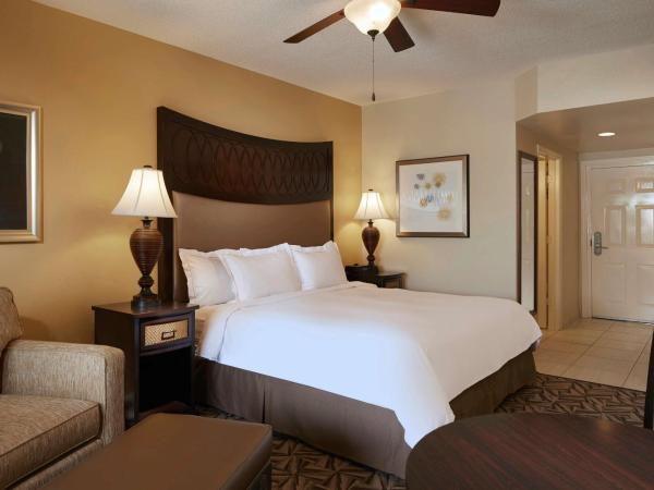 Hilton Grand Vacations Club SeaWorld Orlando : photo 1 de la chambre studio lit king-size