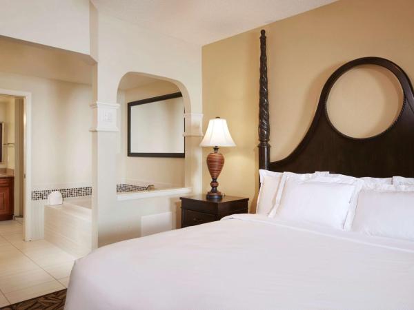 Hilton Grand Vacations Club SeaWorld Orlando : photo 2 de la chambre suite 1 chambre lit king-size avec canapé-lit