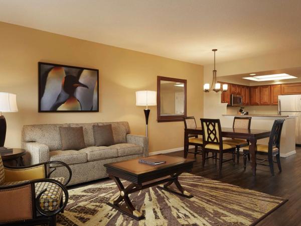 Hilton Grand Vacations Club SeaWorld Orlando : photo 4 de la chambre suite 1 chambre lit king-size avec canapé-lit