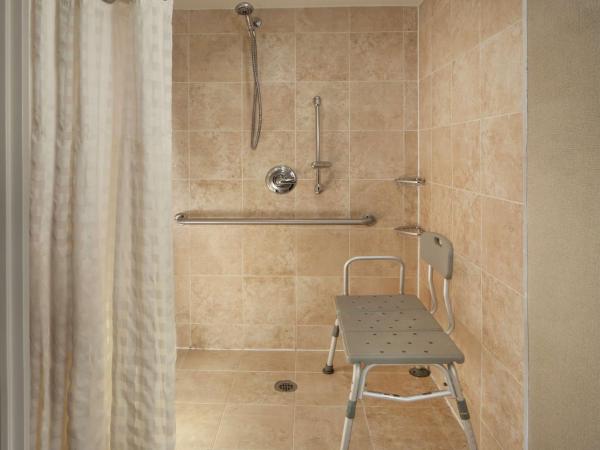 Embassy Suites by Hilton Philadelphia Airport : photo 10 de la chambre one-bedroom king suite with roll-in shower - mobility access/non-smoking