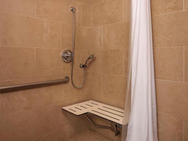 DoubleTree by Hilton San Diego Del Mar : photo 6 de la chambre chambre lit king-size avec baignoire - accessible aux personnes à mobilité réduite