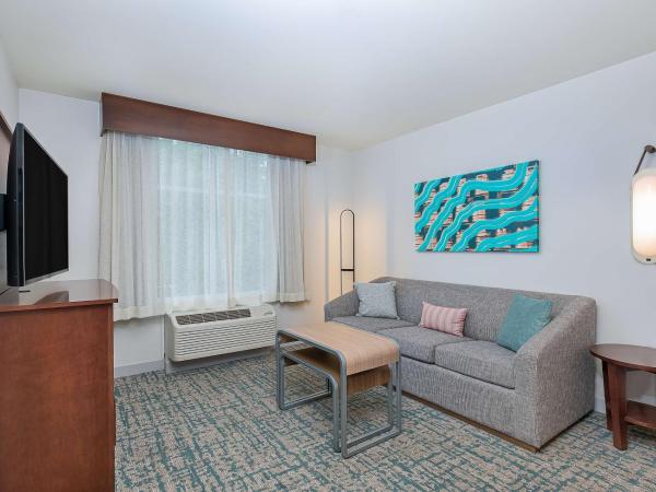 Homewood Suites by Hilton Atlanta Perimeter Center : photo 4 de la chambre suite 1 chambre lit king-size - non-fumeurs