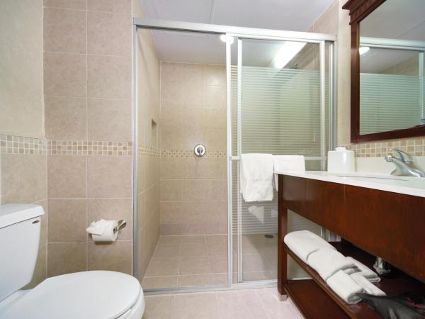 Hampton Inn & Suites Mexico City - Centro Historico : photo 1 de la chambre chambre lit queen-size - non-fumeurs
