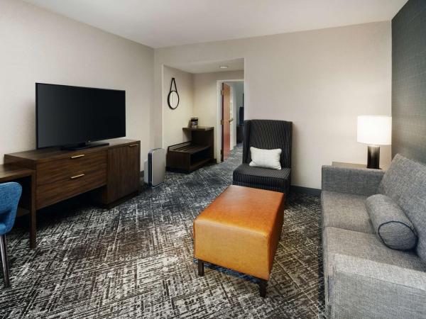 Hilton Charlotte Airport Hotel : photo 5 de la chambre chambre lit king-size premium