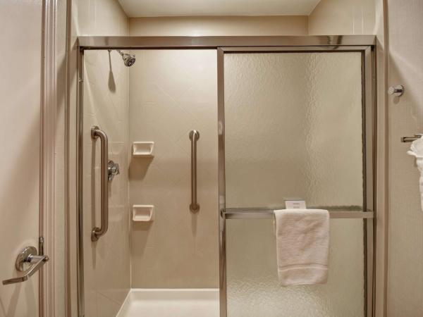 Homewood Suites by Hilton Atlanta-Galleria/Cumberland : photo 6 de la chambre suite 2 chambres - non-fumeurs