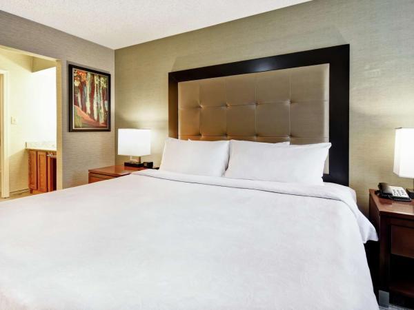 Homewood Suites by Hilton Atlanta-Galleria/Cumberland : photo 2 de la chambre suite 1 chambre lit king-size - non-fumeurs