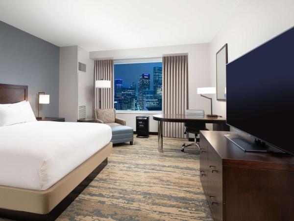 Hilton Americas - Houston : photo 1 de la chambre chambre lit king-size bien-Être pure
