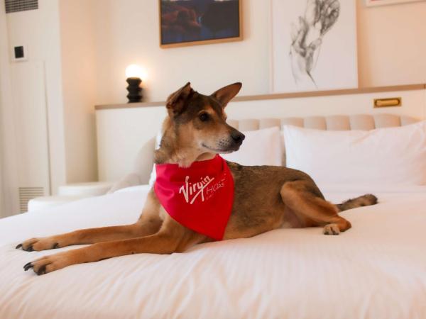 Virgin Hotels Las Vegas, Curio Collection by Hilton : photo 1 de la chambre chambre double lit queen-size ruby - chiens admis