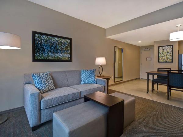 Homewood Suites By Hilton Orlando Flamingo Crossings, Fl : photo 2 de la chambre suite studio lit king-size - non-fumeurs