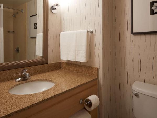 Hilton Los Angeles Airport : photo 2 de la chambre chambre double avec 2 lits doubles