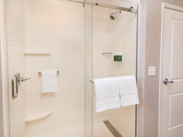 Residence Inn by Marriott Louisville Old Henry : photo 4 de la chambre studio lit king-size avec canapé-lit