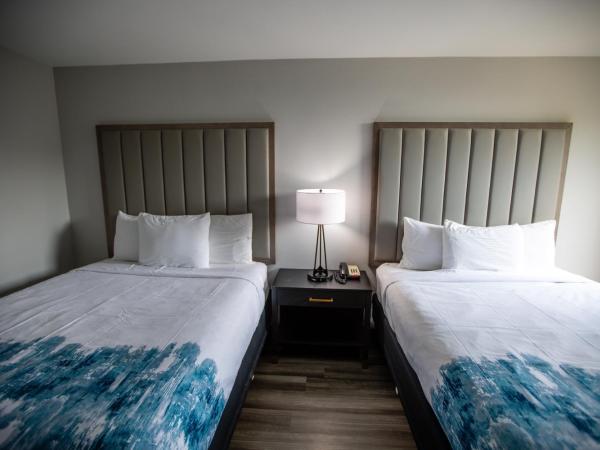 La Quinta by Wyndham Dallas I-35 Walnut Hill Ln : photo 1 de la chambre chambre deluxe avec 2 lits queen-size