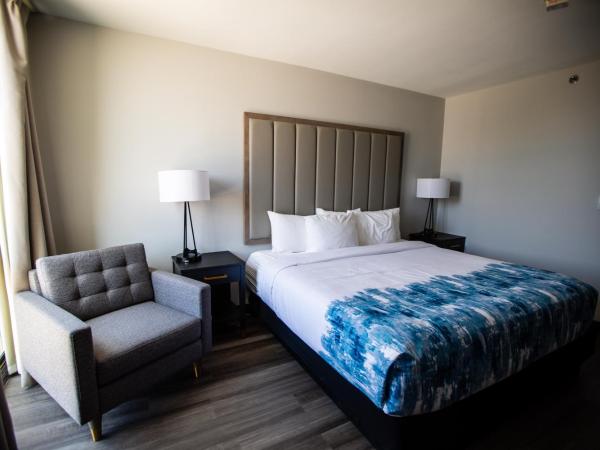 La Quinta by Wyndham Dallas I-35 Walnut Hill Ln : photo 2 de la chambre chambre lit king-size deluxe