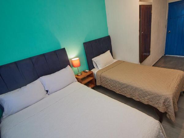 Hotel Casa Ceci Inn : photo 2 de la chambre chambre lits jumeaux standard avec vue sur jardin