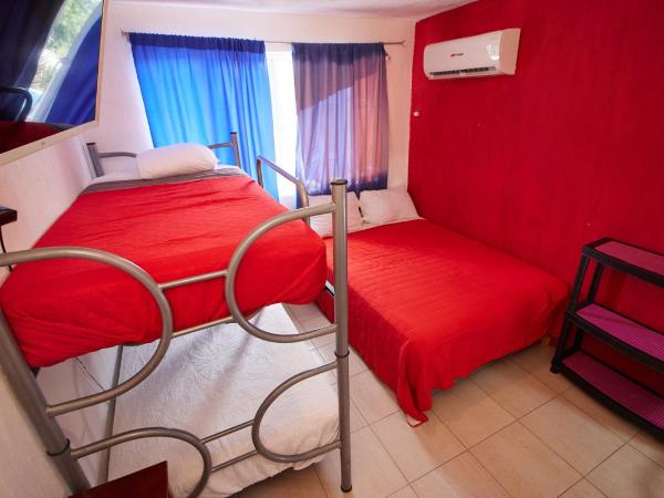 Hotel Casa Ceci Inn : photo 1 de la chambre suite deluxe