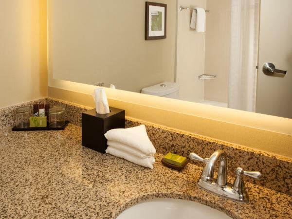 Embassy Suites by Hilton Nashville Airport : photo 1 de la chambre chambre lit king-size