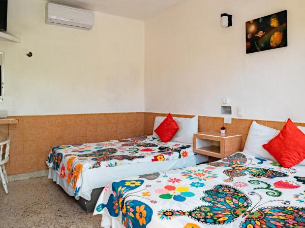 Hotel Posada Edem : photo 5 de la chambre chambre standard 2 lits doubles avec climatisation - vue sur jardin