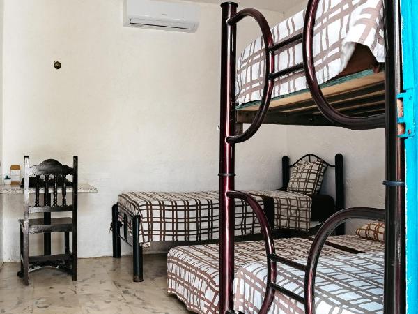 Hotel Posada Edem : photo 2 de la chambre chambre standard avec ventilateur - vue sur jardin