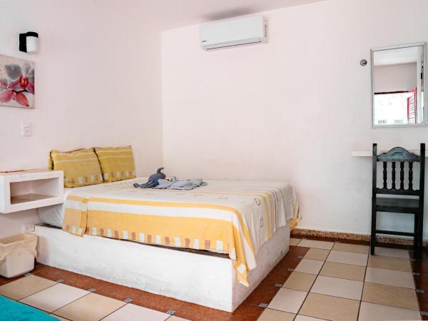 Hotel Posada Edem : photo 6 de la chambre chambre double - vue sur jardin