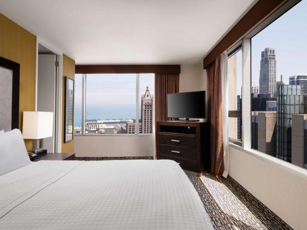 Homewood Suites by Hilton Chicago Downtown - Magnificent Mile : photo 2 de la chambre suite 1 chambre avec vue

