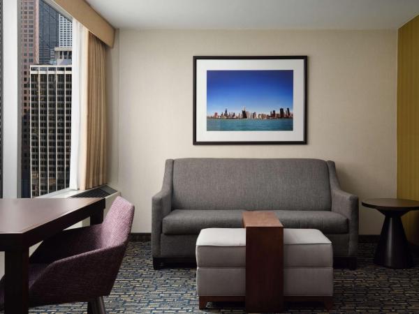 Homewood Suites by Hilton Chicago Downtown - Magnificent Mile : photo 4 de la chambre suite studio lit king-size