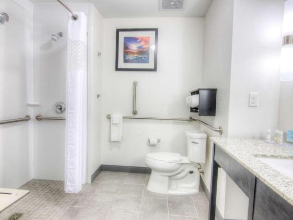 Hampton Inn Houston I-10 East, TX : photo 5 de la chambre chambre lit king-size - adaptée aux personnes malentendantes - non-fumeurs