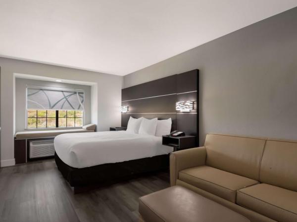 Best Western SeaWorld San Antonio : photo 2 de la chambre suite lit king-size avec canapé-lit - non-fumeurs